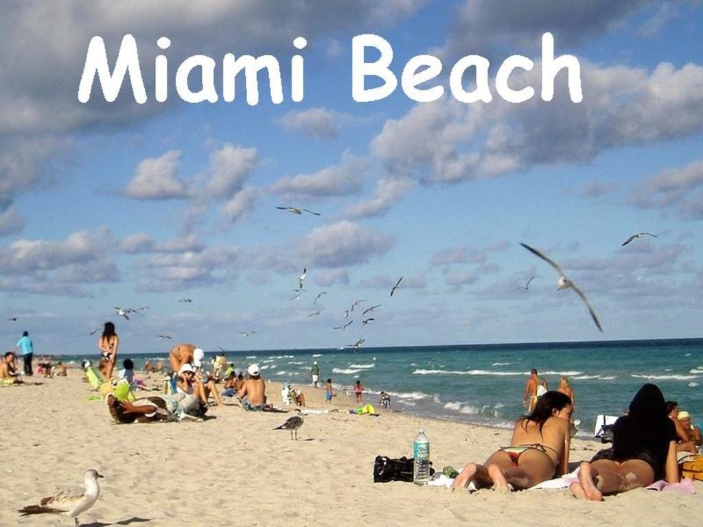 מיאמי ביץ' Bikini Lodge (Adults Only) חדר תמונה