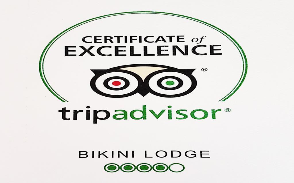 מיאמי ביץ' Bikini Lodge (Adults Only) מראה חיצוני תמונה
