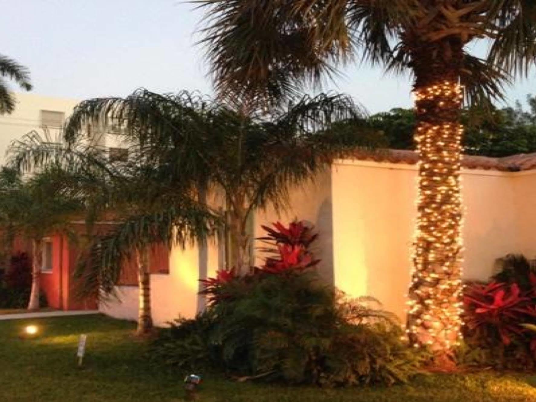 מיאמי ביץ' Bikini Lodge (Adults Only) מראה חיצוני תמונה